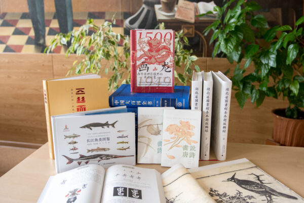 Новые книги из Национальной библиотеки Китая