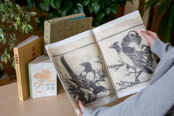 Новые книги из Национальной библиотеки Китая