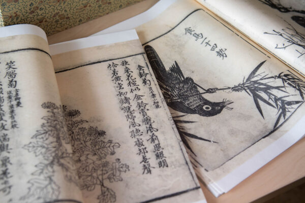 Новые книги из Национальной библиотеки Китая