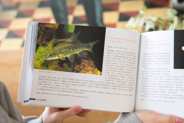 Новые книги из Национальной библиотеки Китая
